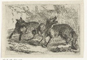 Dois lobos de Jan Fyt
